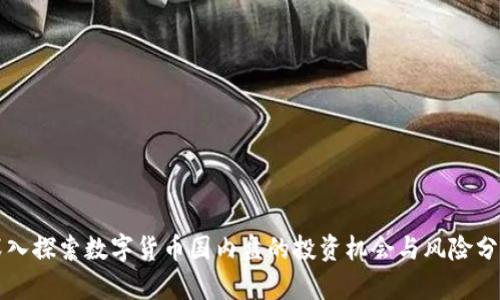 深入探索数字货币国内盘的投资机会与风险分析