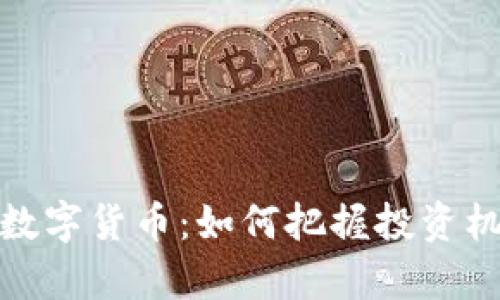 机构抢筹数字货币：如何把握投资机会与风险