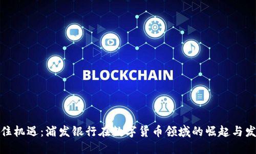 抓住机遇：浦发银行在数字货币领域的崛起与发展