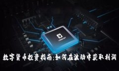 数字货币投资指南：如何在波动中获取利润