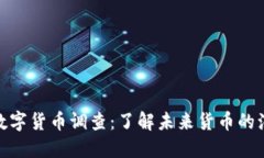 全球央行数字货币调查：了解未来货币的演变与