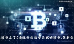 TP钱包密钥忘了？有效的方法帮你找回密钥，保护