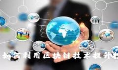 探索数字货币生态：如何利用区块链技术提升投