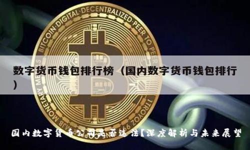 国内数字货币公司是否违法？深度解析与未来展望