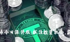 探索数字货币今日涨停股：抓住投资机会，获取