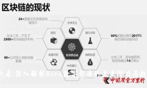 2025必看：深入解析Bora数字货币的未来潜力与投资机会