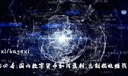 bagexi/bagexi

2025必看：国内数字货币如何盈利，立刻揭晓赚钱秘诀!