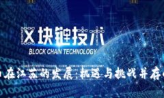 数字货币在江苏的发展：机遇与挑战并存的新时