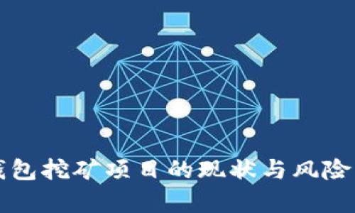 TP钱包挖矿项目的现状与风险分析