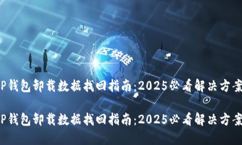 TP钱包卸载数据找回指南：2025必看解决方案！

TP钱包卸载数据找回指南：2025必看解决方案！