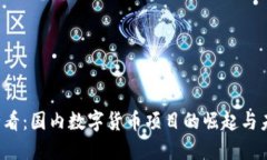 2025必看：国内数字货币项目的崛起与未来展望