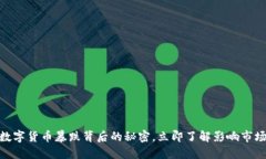 2025必看：数字货币暴跌背后的秘密，立即了解影