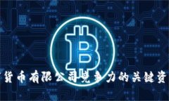 提升数字货币有限公司竞争力的关键资质与优势