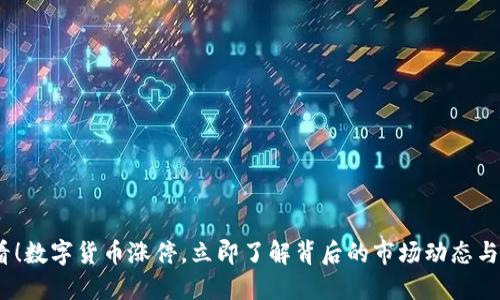 2025必看！数字货币涨停，立即了解背后的市场动态与投资机会