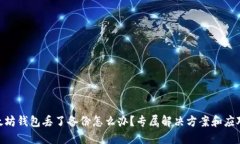 : 以太坊钱包丢了备份怎么办？专属解决方案和应