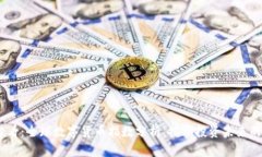 : 2025必看：全球数字货币指数分析，揭示投资未
