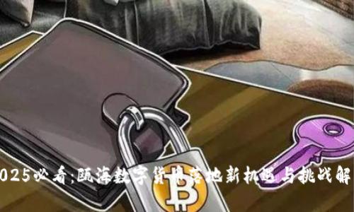 2025必看：瓯海数字货币落地新机遇与挑战解析
