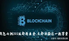 2025必看：TP钱包内测iOS版即将来袭，立即体验这