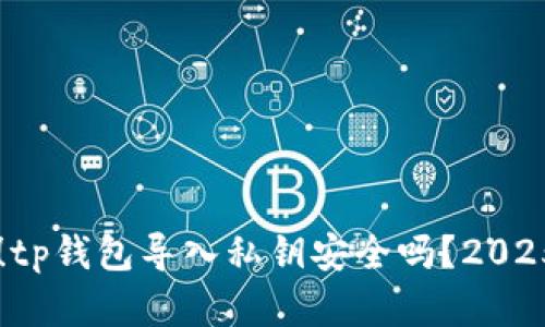 立即了解！tp钱包导入私钥安全吗？2025必看指南