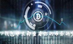 如何在TP钱包中立即查看你的币务的完整指南