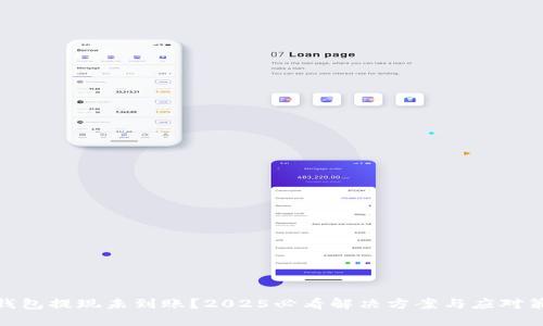 tp钱包提现未到账？2025必看解决方案与应对策略