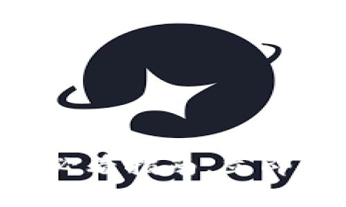 TP钱包app下载流程：2025必看指南，立即体验数字资产管理的便捷！！
